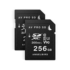 Angelbird SD Match Pack per Panasonic GH5/GH5S (2 x 256 GB SD