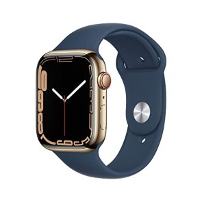 Apple Watch Series 7 (GPS + Cellular, 45mm) Smartwatch - Edelstahl