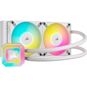 RIBIMEX PRASP61LX2 Aspira Solidi e Liquidi - 60 L - 2 motori x 1000 W
