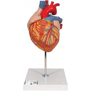 B017XRNLMQ Bascula de Sobremesa, 1.2 kg, 1 gram